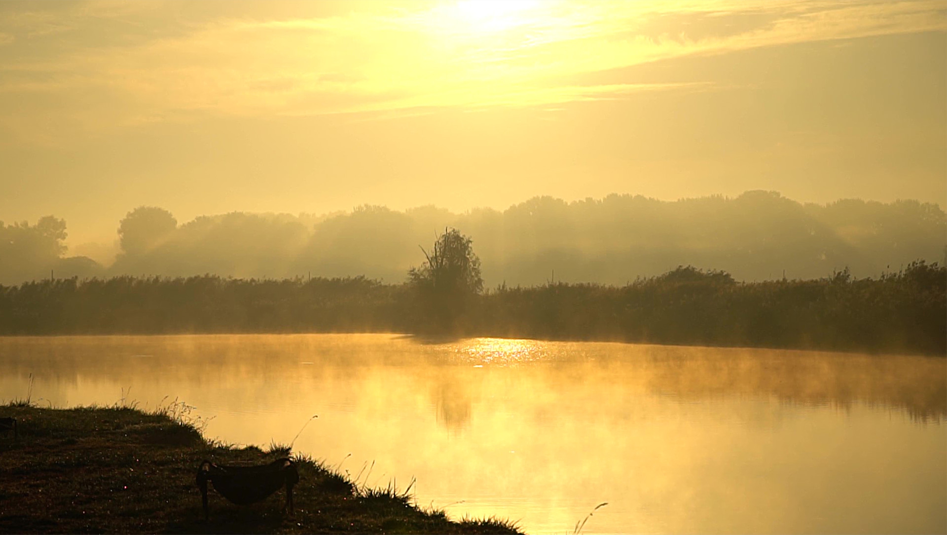 Üdvözöljük aDél-Szabolcsi Kft.megújult weboldalán!